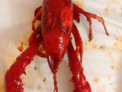 -香满锅老北京羊蝎子火锅·家常菜(新街口店)