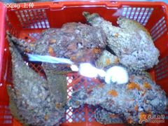 石头鱼188元/斤-渔民新村(番禺总店)