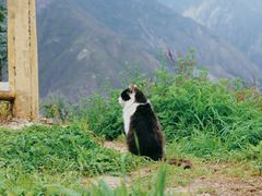 -萝卜寨羌文化生态旅游区