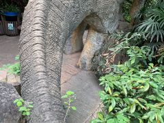 -青青世界