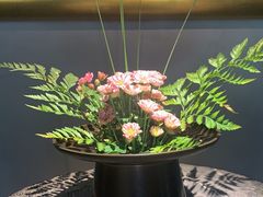 -觀芷隐轩