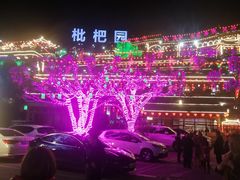 -枇杷园食为鲜火锅(南山店)