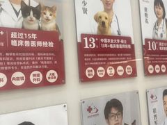 -御宝贝24h宠物医院·转诊中心·CT核磁血透中心(厦门总院)