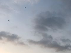 -青岛沙子口国家中心渔港