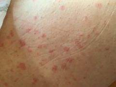 -龙达温泉生态城