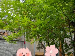 -VOYAGE COFFEE(杨梅竹店)