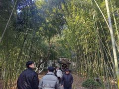 -包公祠