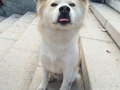 -石门坊