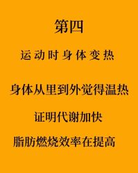 -Fundi张玉珊修身堂·indiba·BTL科技瘦身