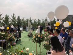 -北京张裕爱斐堡酒庄