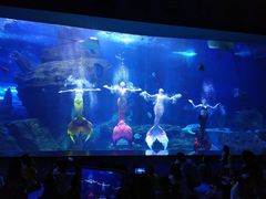 -多彩贵州城极地海洋世界