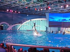 -海合安青岛极地海洋公园