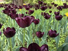 -国家植物园南园