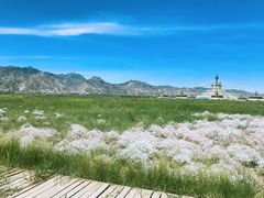 -敕勒川草原文化旅游区