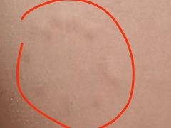 -白兔子密室(长寿路店)