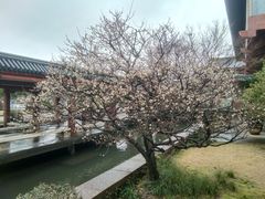 -浙江省博物馆(孤山馆区)