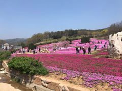 -棒棰岛宾馆景区