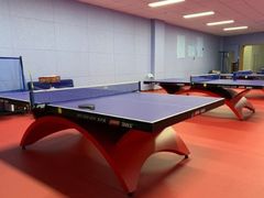 -火星羽毛球游泳乒乓球网球篮球台球滑板轮滑(踏水桥北街店)