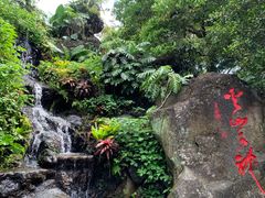 -海口火山口国家地质公园
