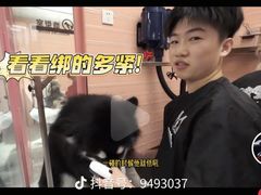-FAELING PETS美天灵宠物(合生汇店)