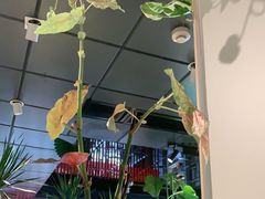 -懒人盐府人家(航天桥店)