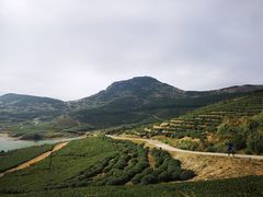 -嵛山岛