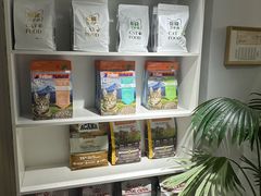 -青奢宠物·青奢猫舍