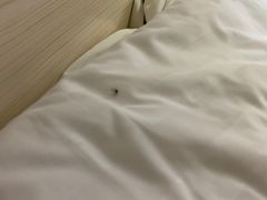 -栖游青年旅舍(华强北地铁站店)