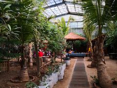 -呀路古热带植物园