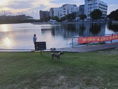 -美兰湖景区