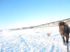 -北极村旅游风景区