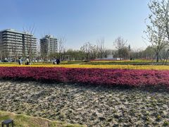 -上海山野camping·户外天幕烧烤·团建拓展营地