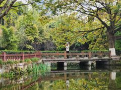 -望江楼公园