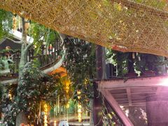 -正佳雨林生态植物园