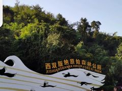 -西双版纳原始森林公园