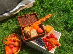 -上海共青森林公园