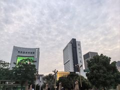 -杭州大厦宾馆