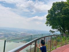 -铁山坪森林公园