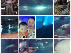 -苏州海洋馆