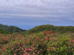 -大围山国家森林公园