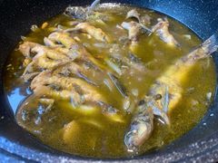 黄辣丁鲜鱼锅-小小河边鱼(天润城店)