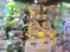 -上海大自然野生昆虫馆(东方明珠·爬宠昆虫探索中心)