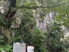 -星湖旅游景区七星岩