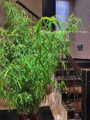 -威思丽高温瑜伽会馆