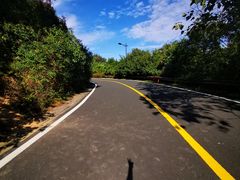 -宝界山林公园