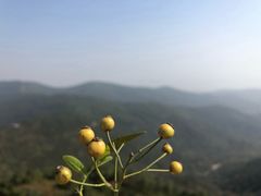 -缥缈峰景区