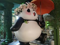 -轩客会(熊猫书店)