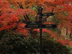 -中山公园