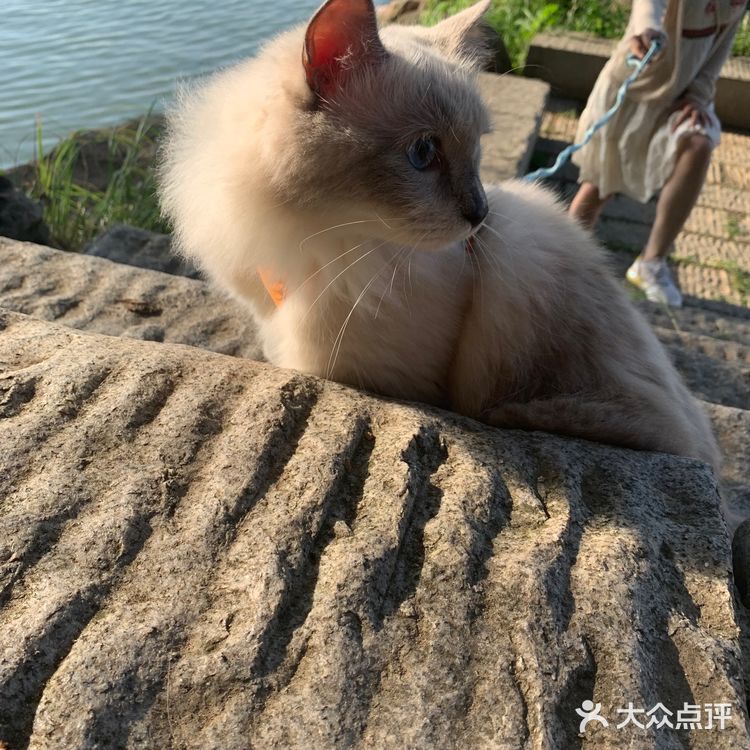 凌波门 | 心中东湖最美的角落