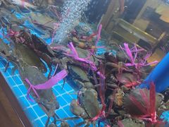 -徐记小怪兽肉蟹煲(中央大街店)